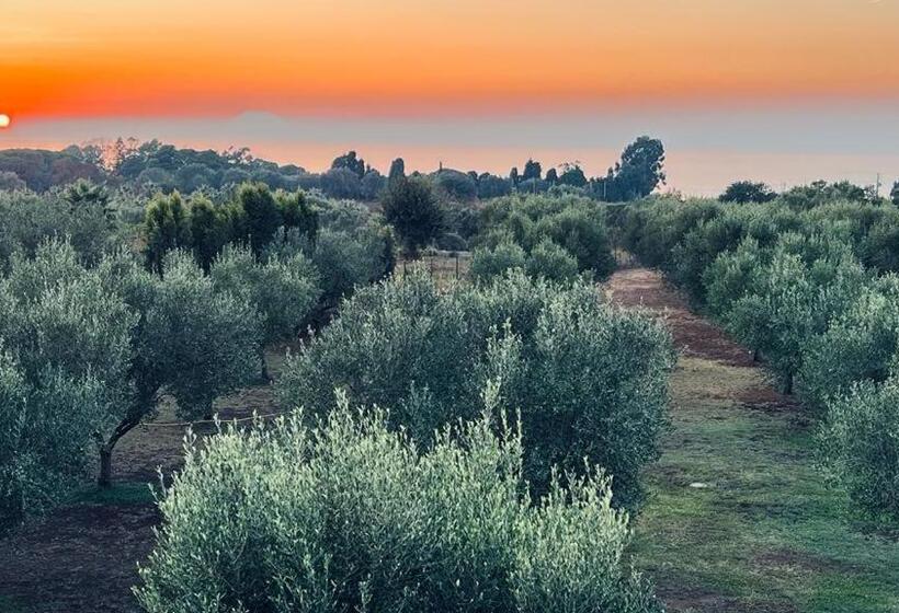 B&b Casale Pietrantica Tropea