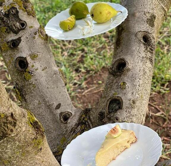 B&b Casale Pietrantica Tropea