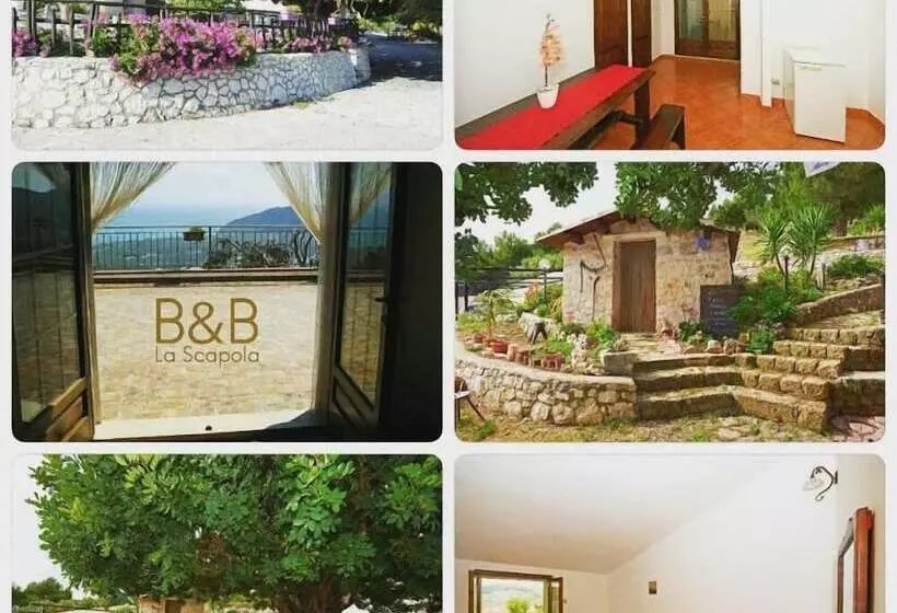 B&b La Scapola