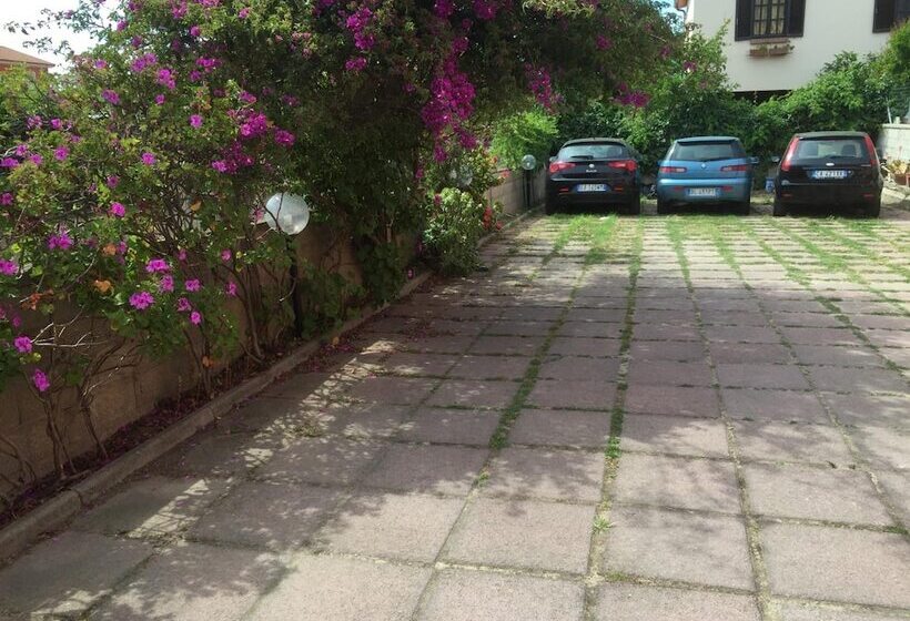 민박 L Aurora Viola