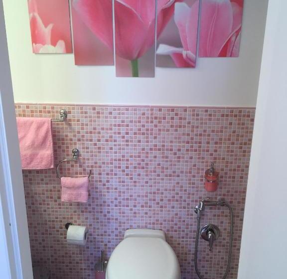 민박 L Aurora Viola