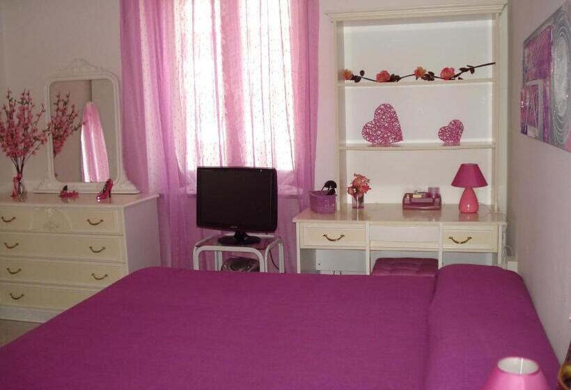 민박 L Aurora Viola