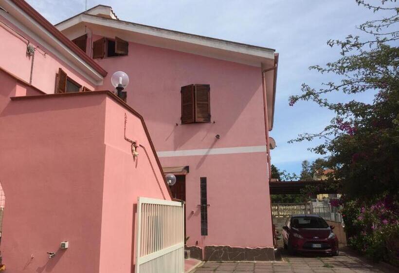 민박 L Aurora Viola