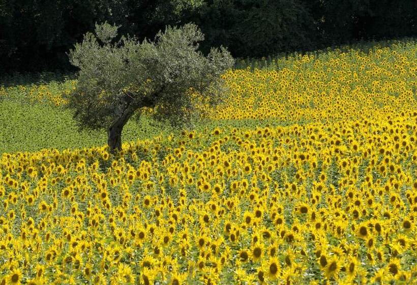 فندق ريفى Agriturismo Il Gelso Antico