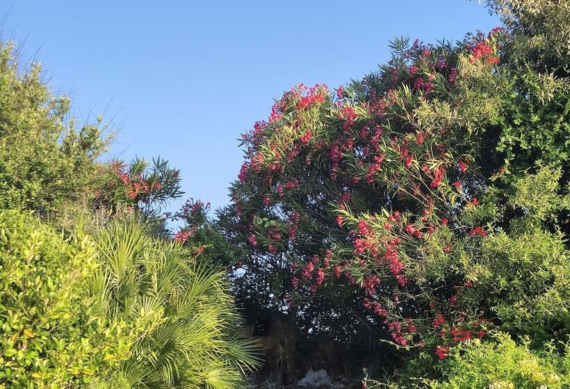 田舎風ホテル Tenute Delogu