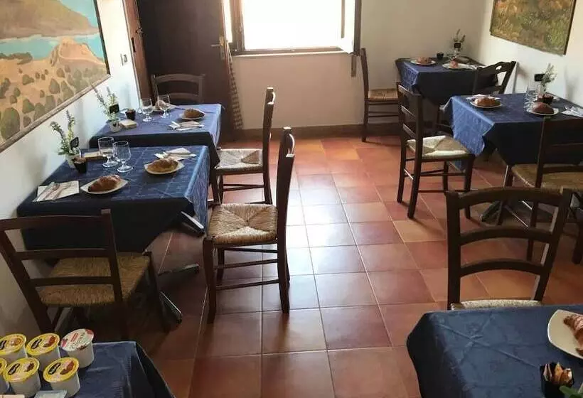 La Mimosa B&b
