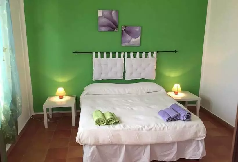 La Mimosa B&b