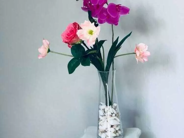 ペンション Domus Regia