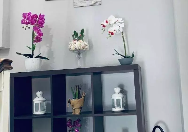 ペンション Domus Regia