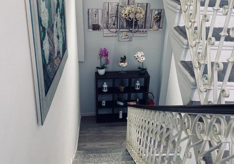 پانسیون Domus Regia