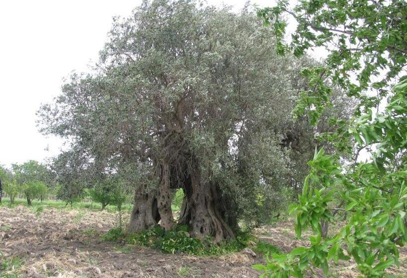 B&b Macalube Aragona