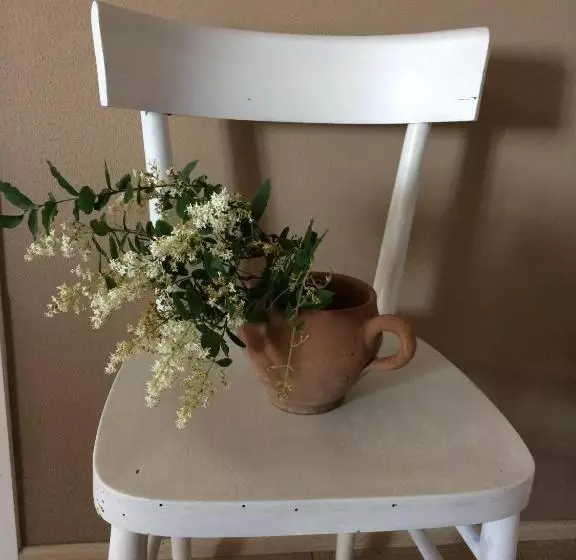 Bed & Breakfast La Combriccola