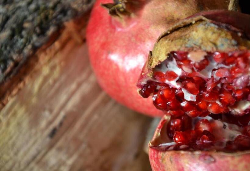 Nocleg ze śniadaniem La Combriccola