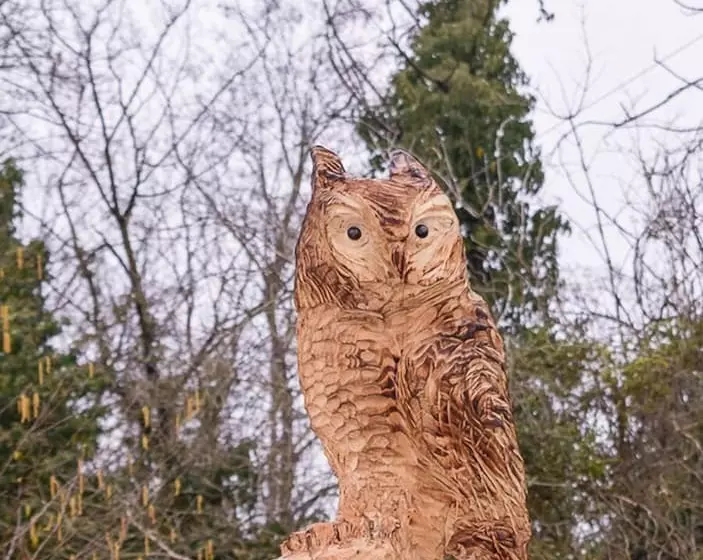 Aamiaismajoitus (B&B) Le Case Nel Bosco