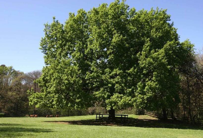 乡村酒店 La Cucchetta