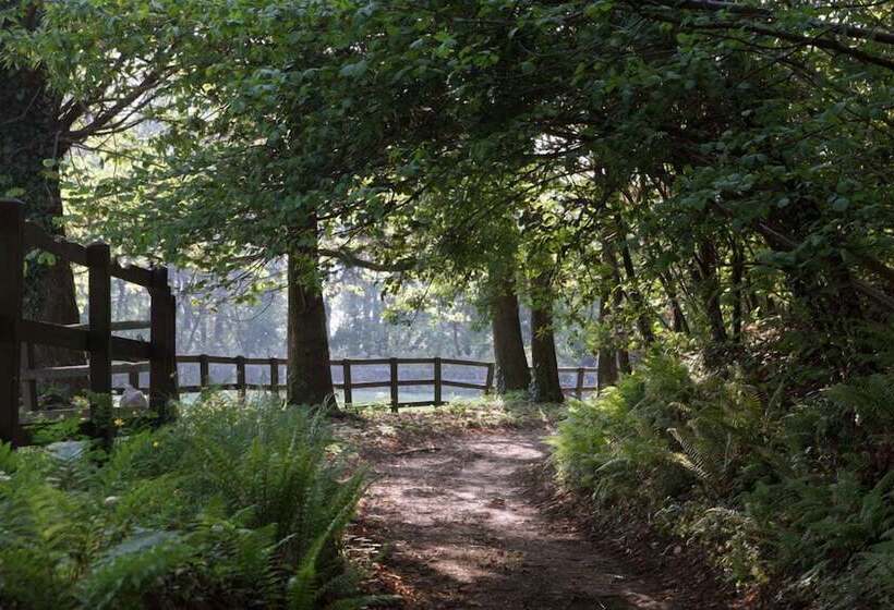 乡村酒店 La Cucchetta