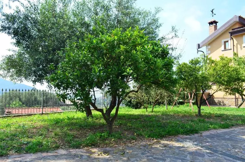 Majatalo B&b Le Cicale