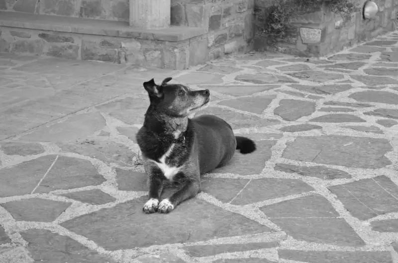 Majatalo B&b Le Cicale