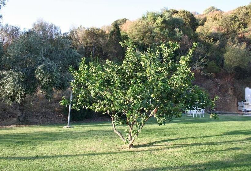 Пансион Guesthouse Casavasco