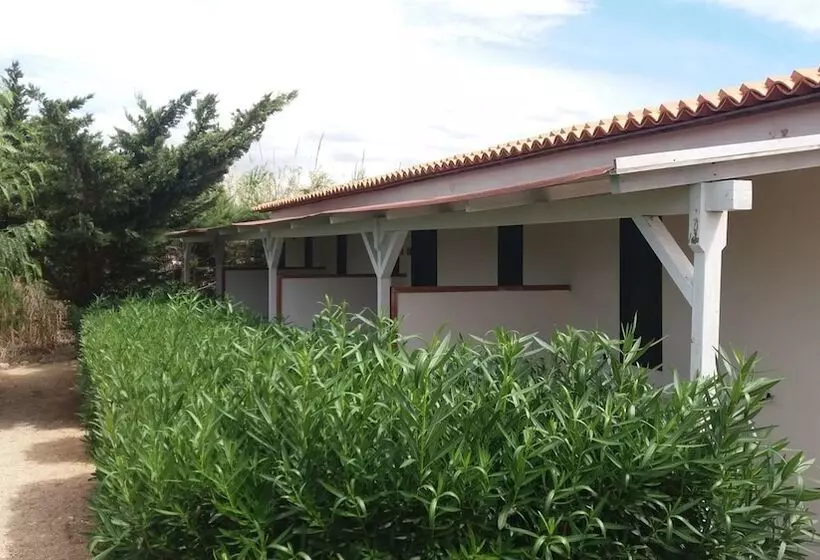 Aamiaismajoitus (B&B) L'araucaria