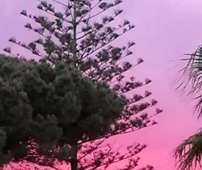 Aamiaismajoitus (B&B) L'araucaria