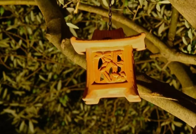 Aamiaismajoitus (B&B) L'araucaria