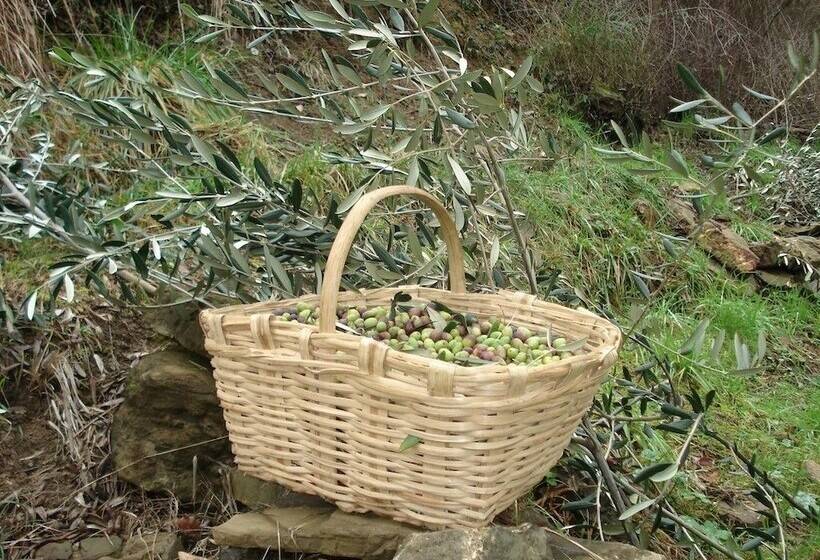 فندق ريفى Agriturismo A Veggia Vigna