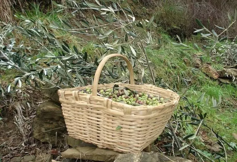 田舎風ホテル Agriturismo A Veggia Vigna