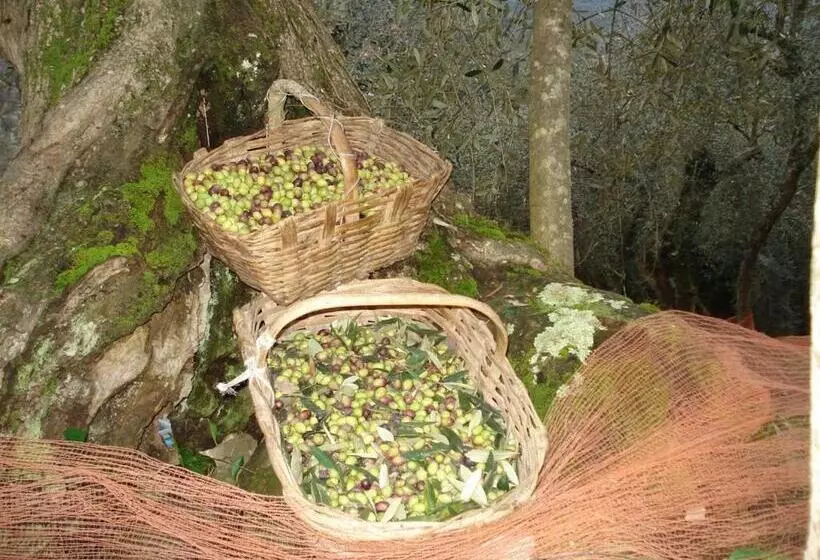 田舎風ホテル Agriturismo A Veggia Vigna