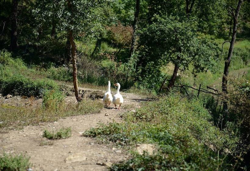 בית מלון כפרי Agriturismo Le Cerinaie