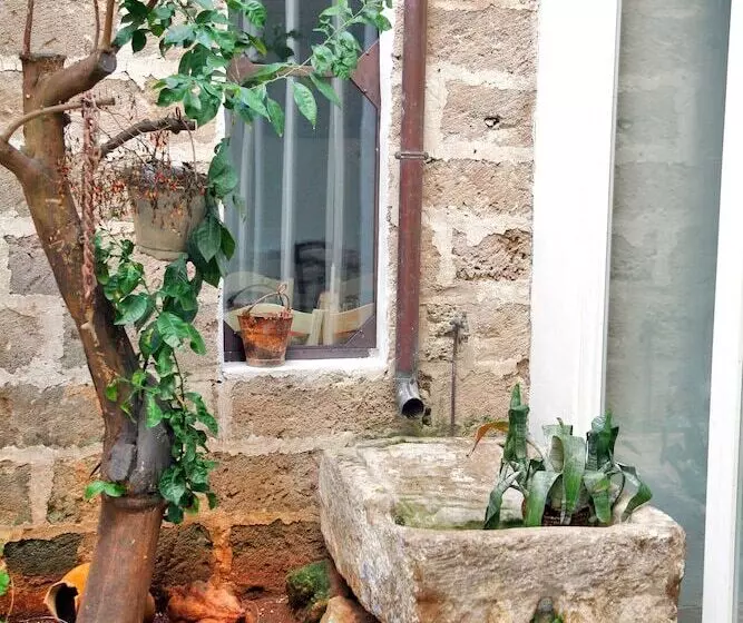 Aamiaismajoitus (B&B) Palazzo Briganti