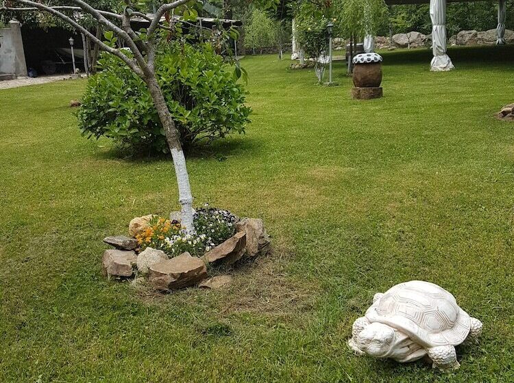 פונדק Il Brigante