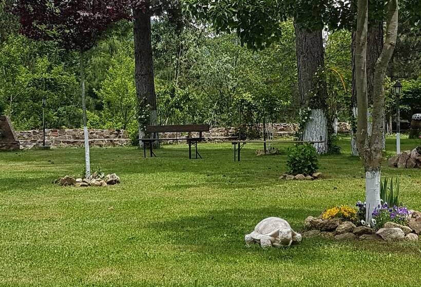 مسافرخانه Il Brigante