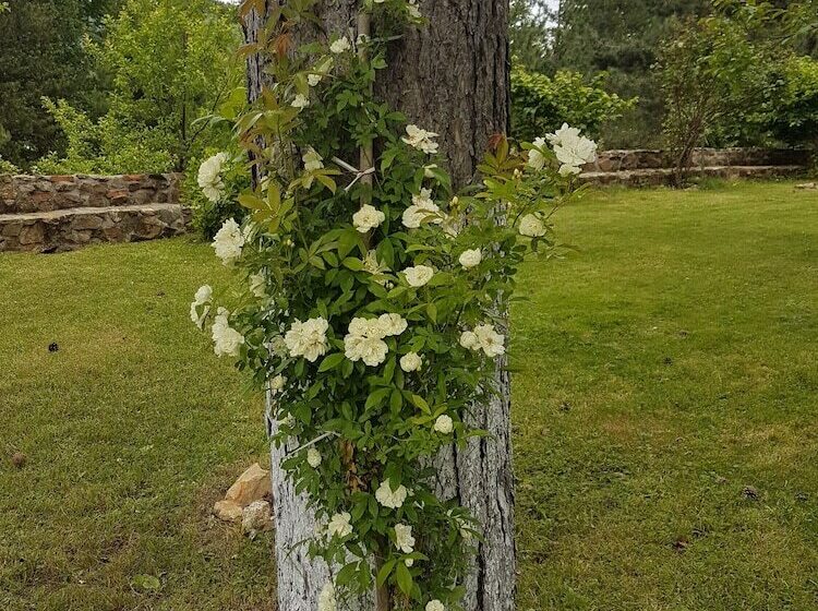 مسافرخانه Il Brigante