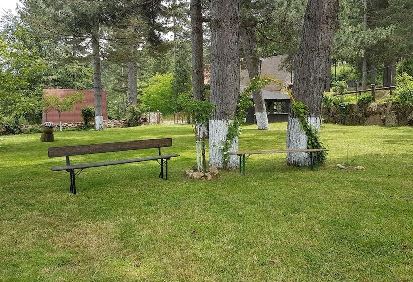 مسافرخانه Il Brigante