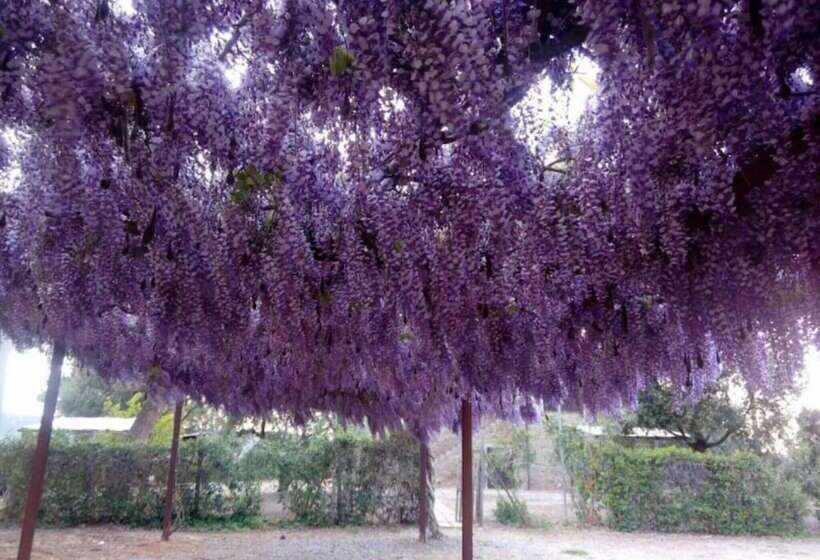 בית מלון כפרי Agriturismo Boschetto Di Montiano