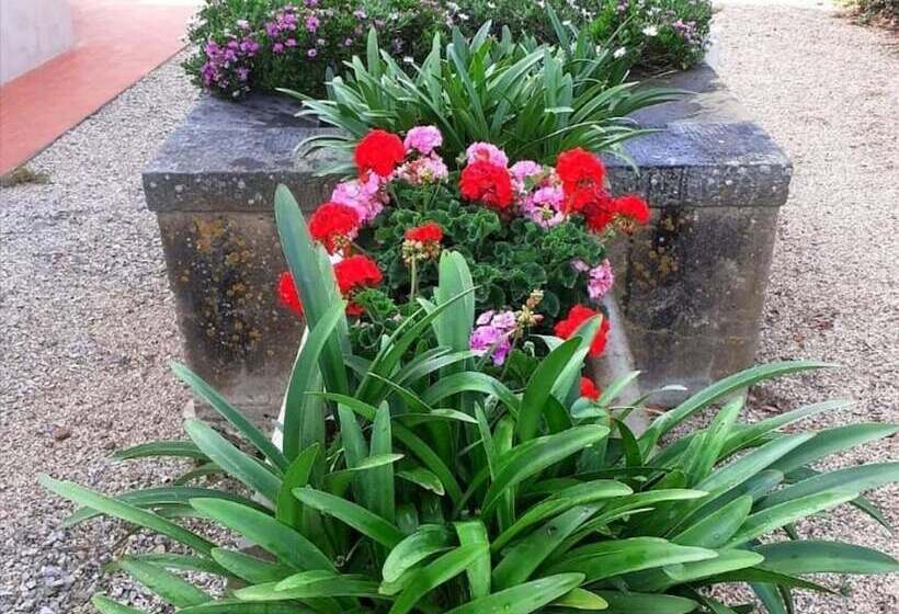 בית מלון כפרי Agriturismo Boschetto Di Montiano