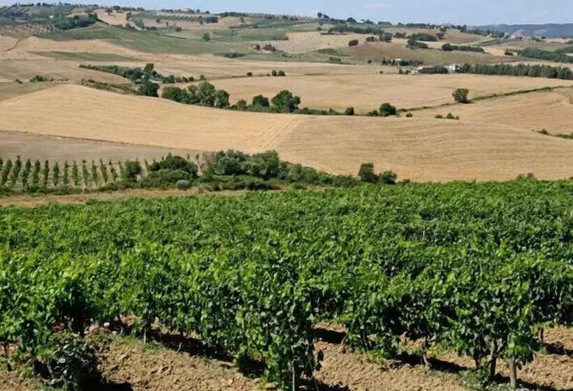 田舎風ホテル Azienda Agricola Parmoleto