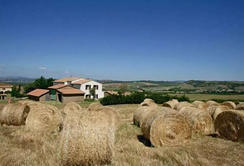 田舎風ホテル Azienda Agricola Parmoleto
