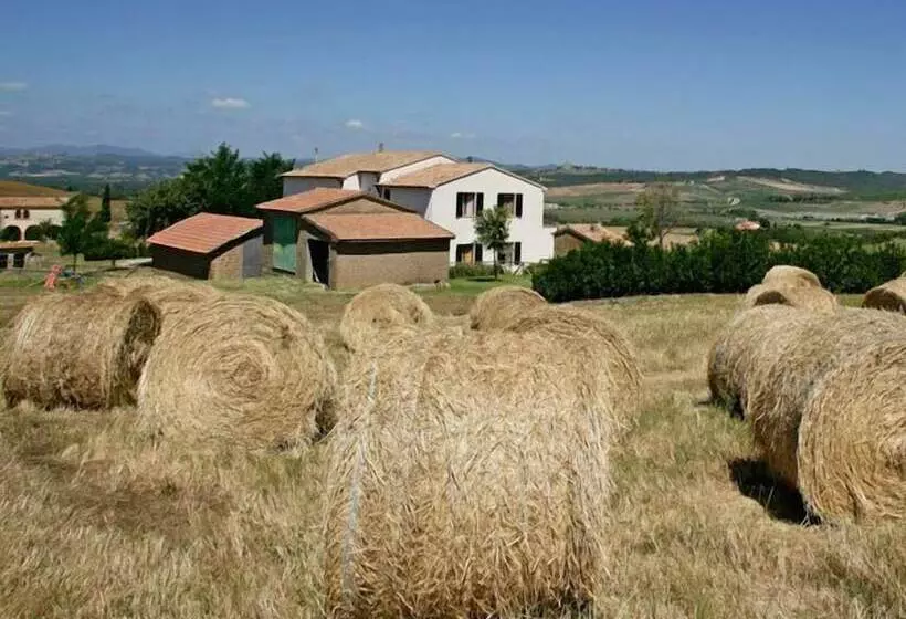 田舎風ホテル Azienda Agricola Parmoleto