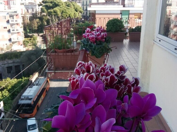 住宿加早餐 Bblabellavista