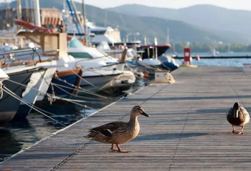 ベッドアンドブレックファースト Porto Sole Rooms