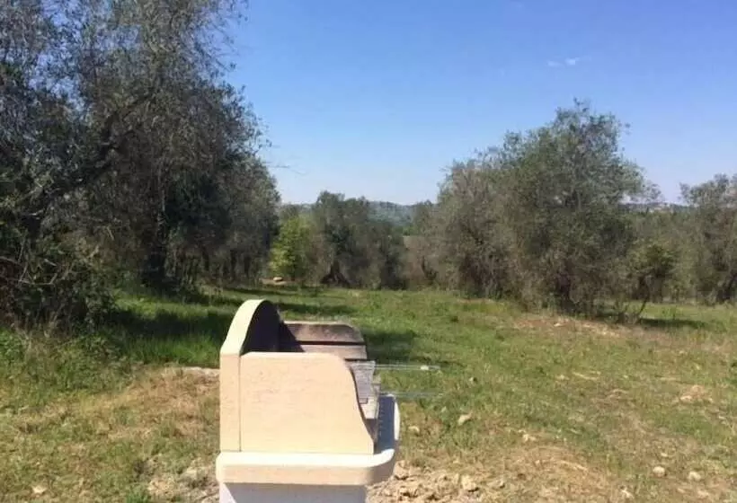 Maaseutuhotelli Fattoria Casa Sola