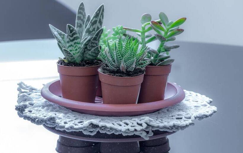 پانسیون A&g Affittacamere