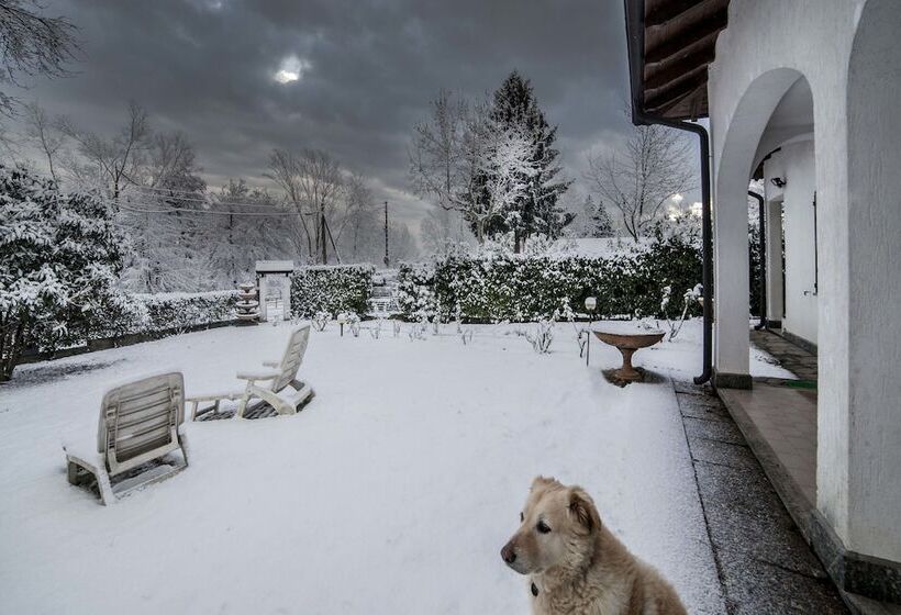 住宿加早餐  Ritratto Sul Lago