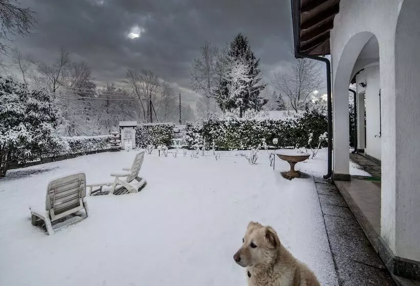 Aamiaismajoitus (B&B) Ritratto Sul Lago