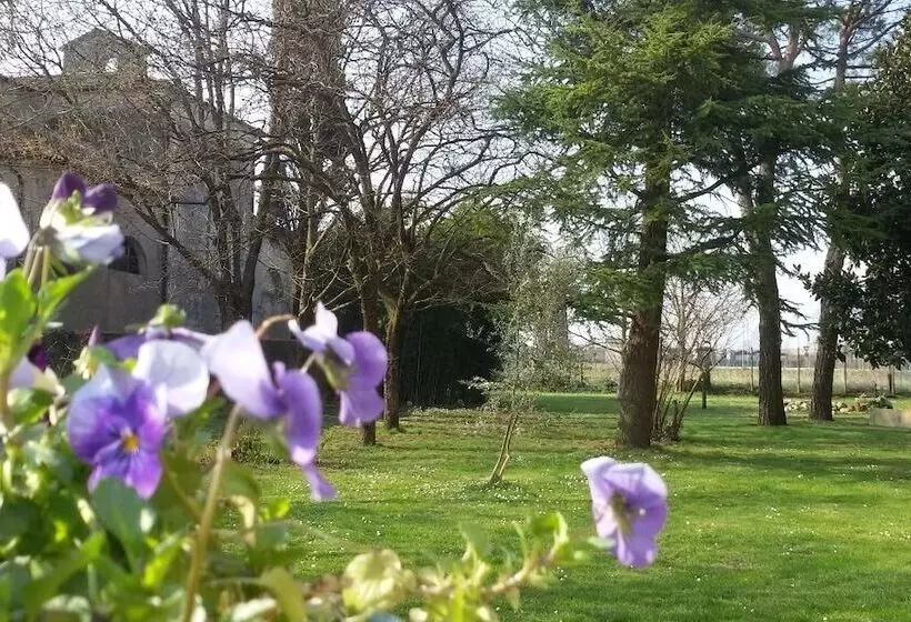 Aamiaismajoitus (B&B) Fiori Di Maggio