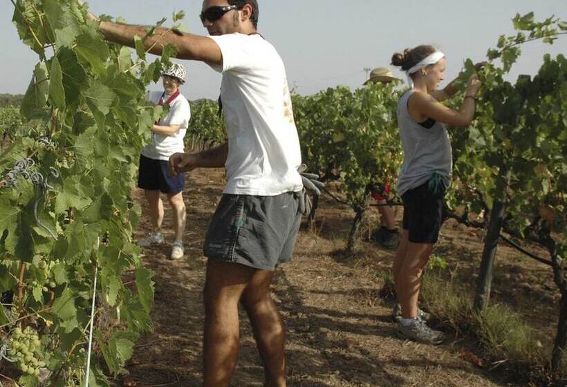 田舎風ホテル Borgo Dell Aschetto