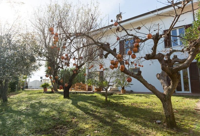 بنسيون Guest House Le Acacie