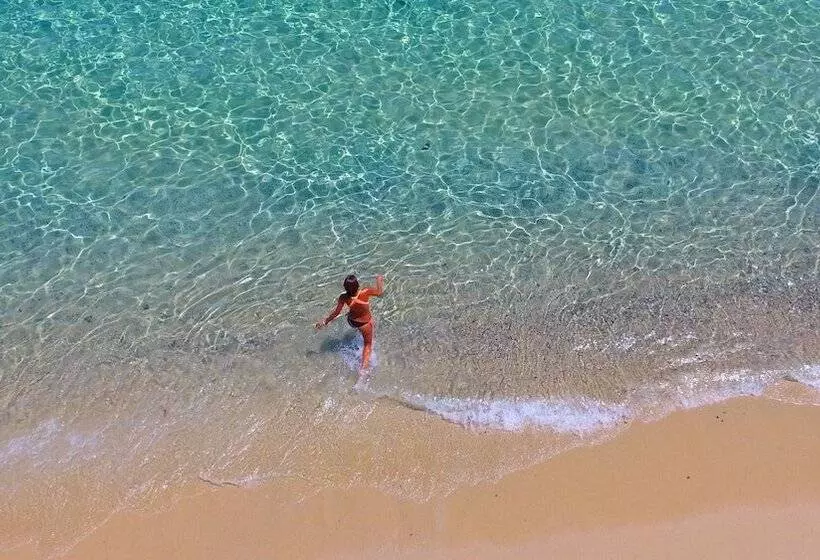 レジデンス Rey Beach Club